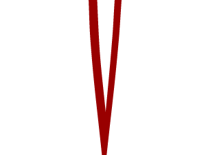 ExamVision